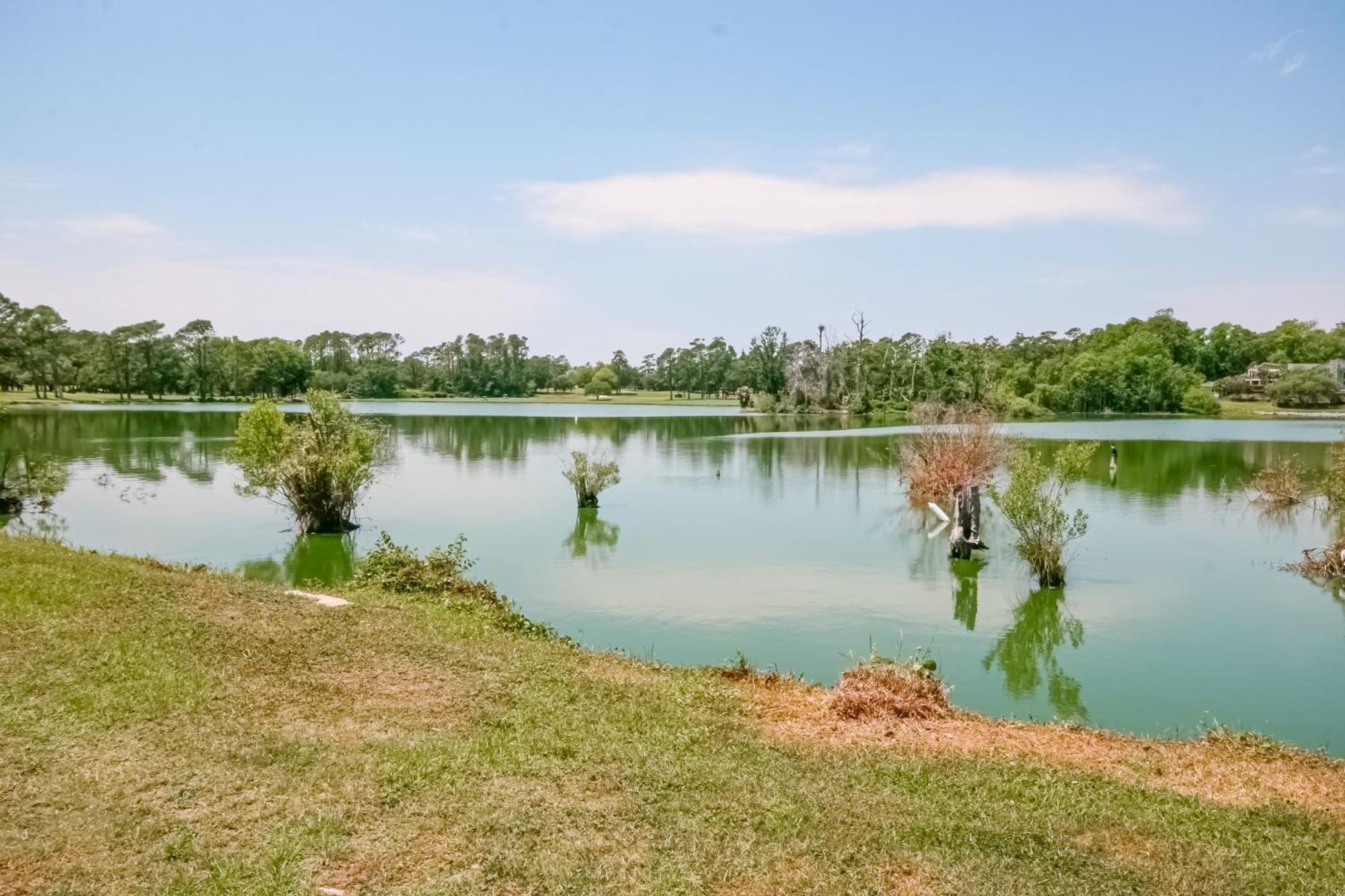 הוילה מירטל ביץ' Dunes Pointe חדר תמונה